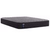 Picture of Sealy Elm Avenue Firm Twin XL Mattress
