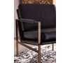Picture of Puckman Accent Chair
