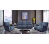 Picture of Sky Grey Power Reclining Loveseat