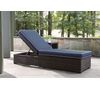 Picture of Grasson Lane Cushion Chaise Lounge
