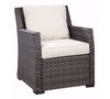 Picture of Easy Isle Cushion Lounge Chair