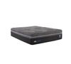 Picture of Sealy Silver Chill Plush Queen Mattress Only