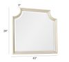 Picture of Brookhollow Mirror