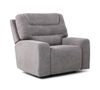 Picture of Platinum Power Recliner