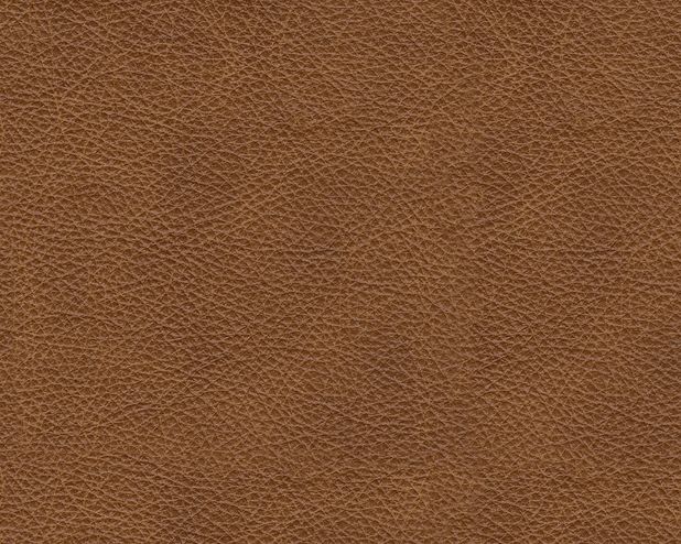 Picture of Emilia 5pc Sectional