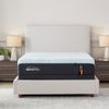 Picture of ProAdapt Firm 2.0 Queen Mattress