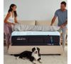 Picture of Luxe Adapt Soft 2.0 Twin XL Mattress