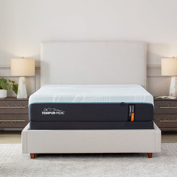 Picture of ProAdapt Firm 2.0 Twin Mattress