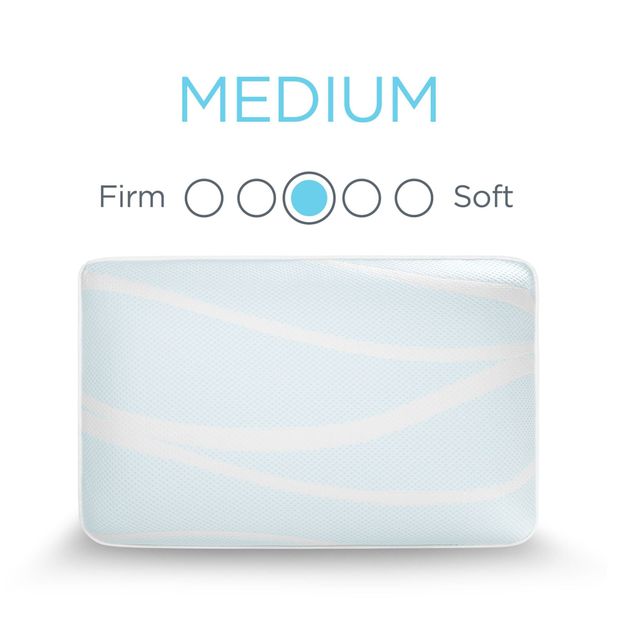 Picture of Breeze ProLo 2 Queen Pillow