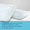 Picture of Breeze ProLo 2 Queen Pillow