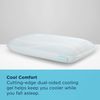 Picture of Breeze ProLo 2 Queen Pillow