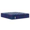 Picture of Brenham Medium Euro Pillowtop Twin Mattress