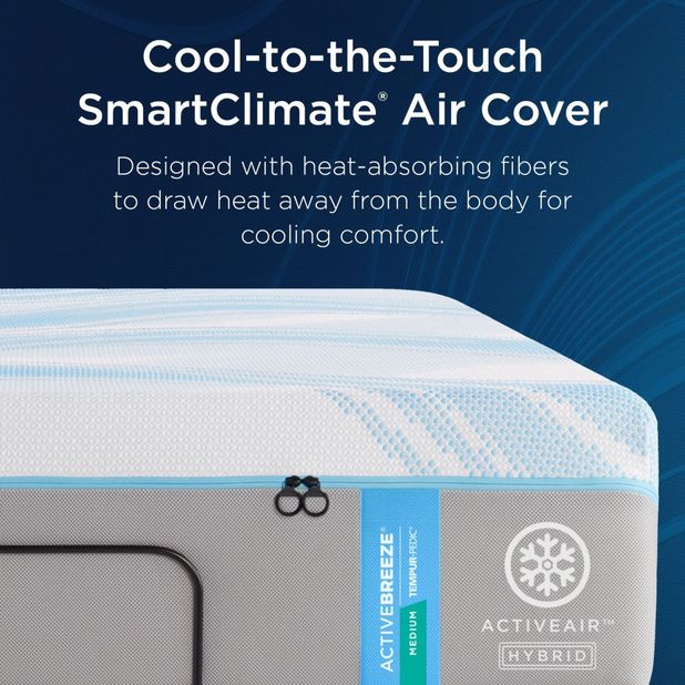 Picture of ActiveBreeze SmartAir Queen Sleep Set