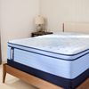 Picture of Plainfield Euro Pillowtop Split Cal King Mattress