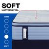 Picture of Plainfield Euro Pillowtop King Mattress