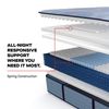 Picture of Plainfield Medium King Mattress
