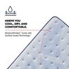 Picture of Plainfield Medium Full Mattress