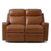 Picture of Emmons Reclining Loveseat