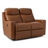 Picture of Emmons Reclining Loveseat