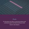 Picture of World Class 3 Plush King Mattress