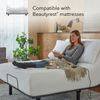 Picture of Baselogic Bronze Twin XL Adjustable Base