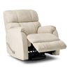 Picture of Calgary Birch Recliner