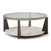 Picture of Frazwa Coffee Table
