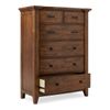 Picture of Gage Chest