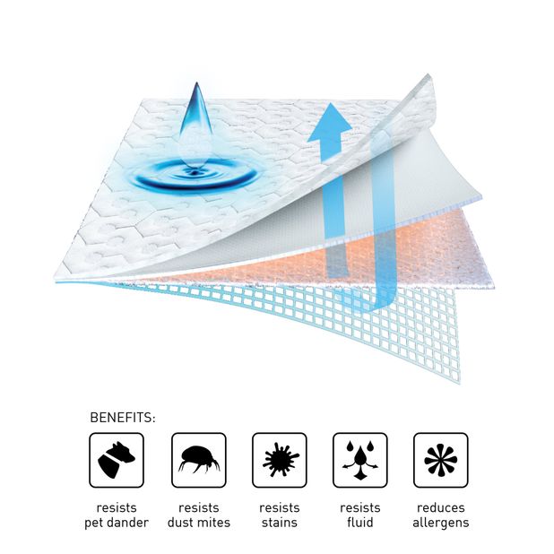 Picture of Bedgear Dri-Tec Split Head Queen Protector