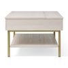 Picture of Whitman Lift Top Cocktail Table