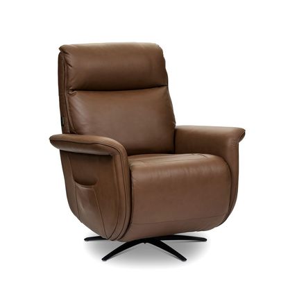Picture of Zen Haven Power Swivel Recliner