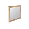 Picture of Fenderport Mirror