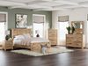 Picture of Fenderport Mirror