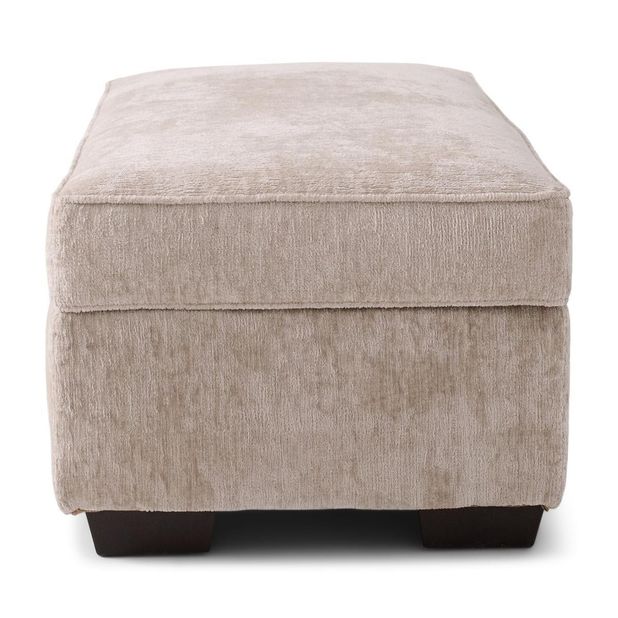 Picture of Ritz Taupe Storage Ottoman