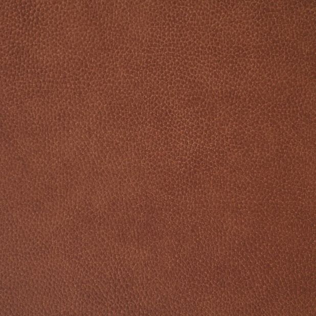 Picture of Baron Rocker Recliner
