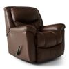Picture of Jester Rocker Recliner
