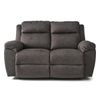 Picture of Joel Loveseat