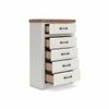 Picture of Savonport Chest