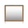 Picture of Dovander Mirror