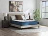 Picture of Ashley Limited Edition Firm Full Mattress